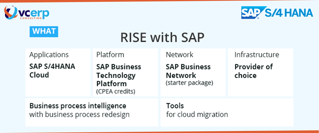 RISE with SAP Capabilities