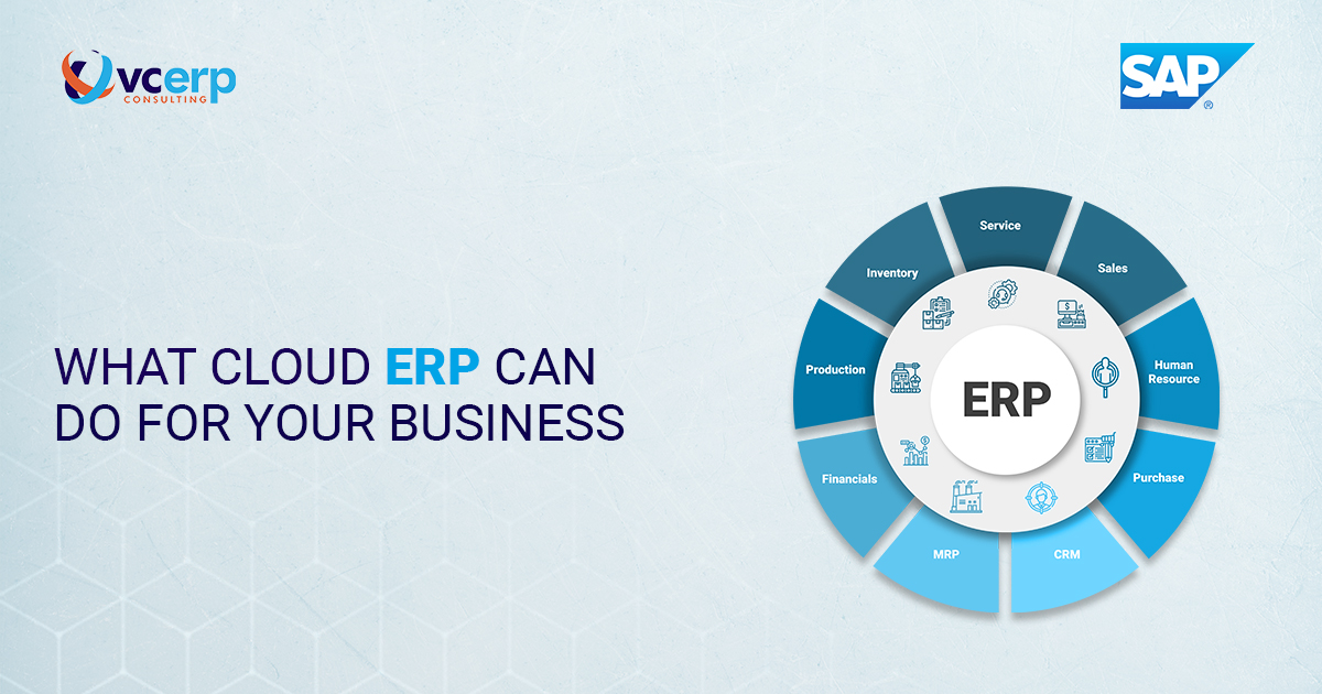 What an ERP on the Cloud Can Do For Your Business