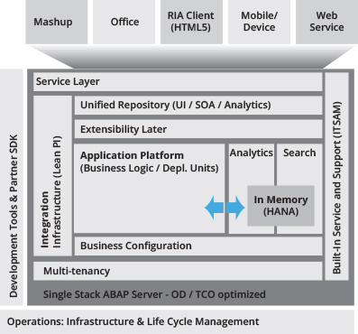 SAP Business ByDesign Platform Architecture