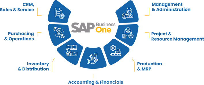 SAP Business One Graph