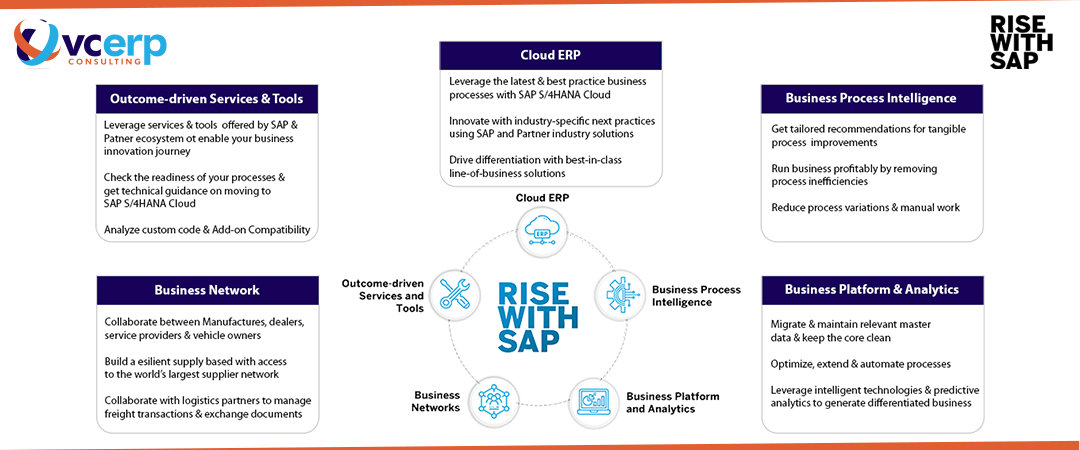 RISE with SAP Service Provider