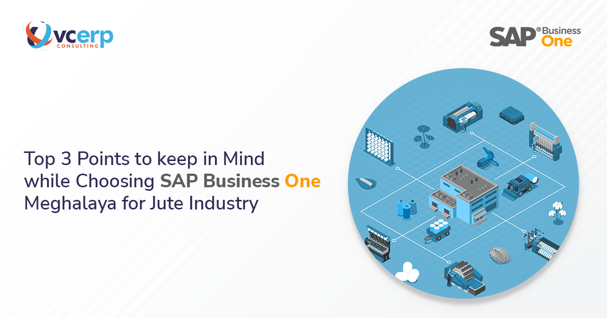 Top 3 Points to keep in mind while Choosing SAP Business One Meghalaya for Jute Industry